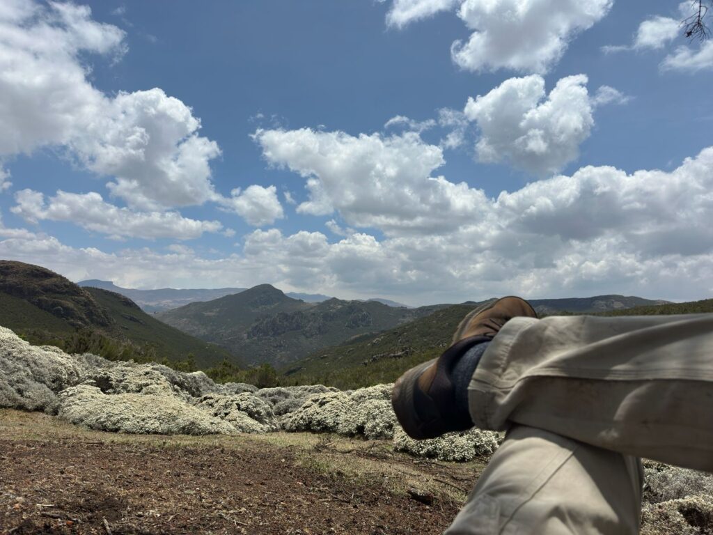 View over green mountains from a rocky ridge during a hunt