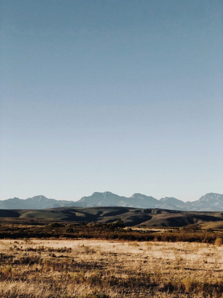 Golden grassland and mountains in South Africa at sunrise